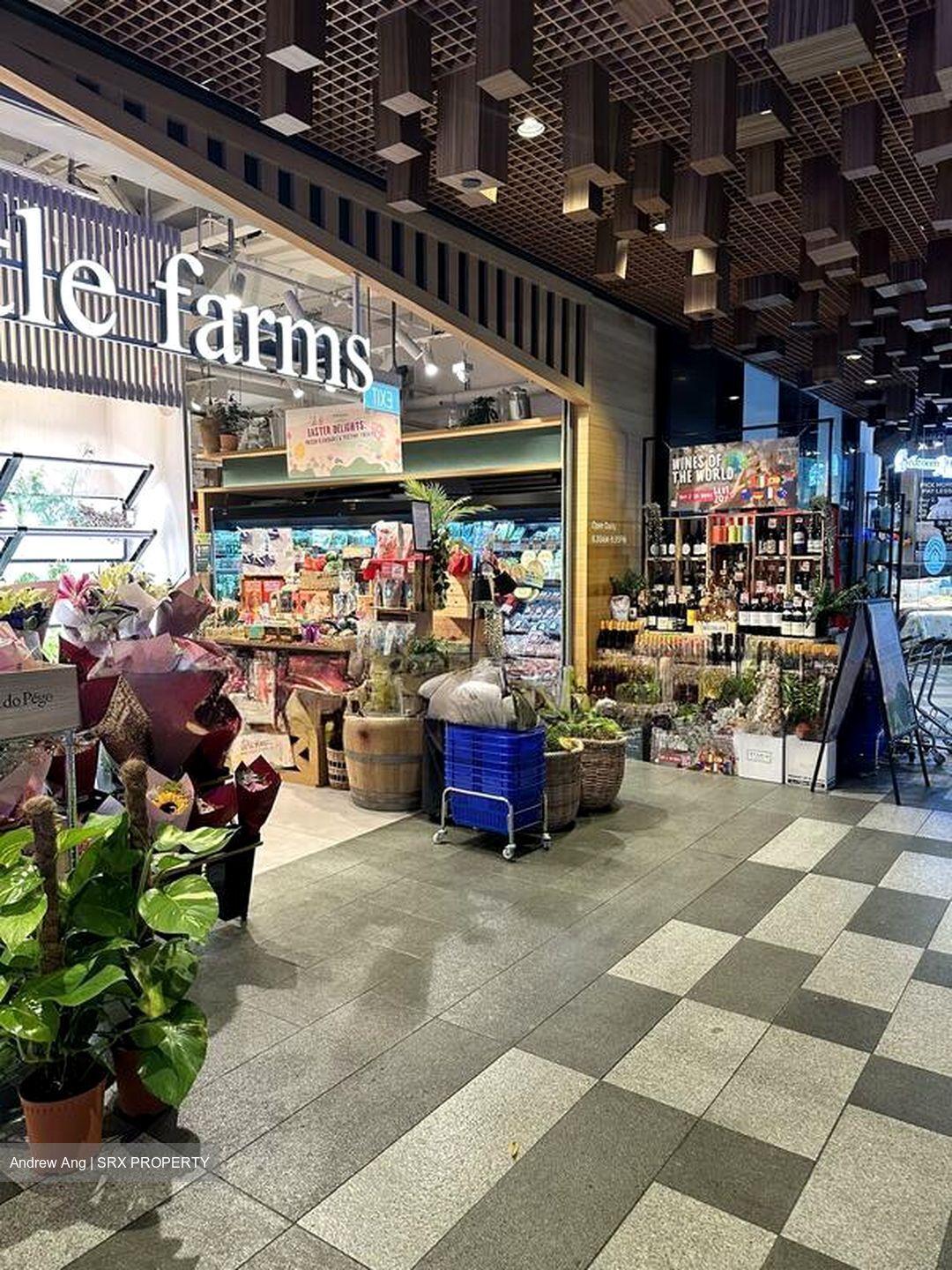 Serangoon Garden Village (D19), Shop House #526100111